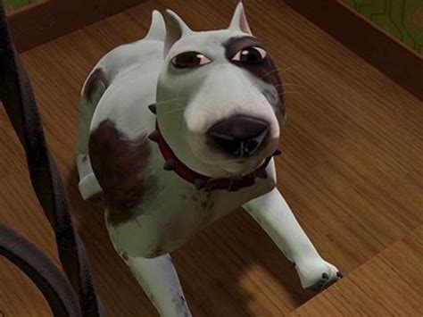 dog from toy story 1|dog toy story dee molina.